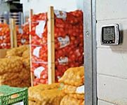 Обнаружение сырости и плесени в доме или квартире Обнаружение сырости и плесени в доме или квартире